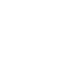 Play background music